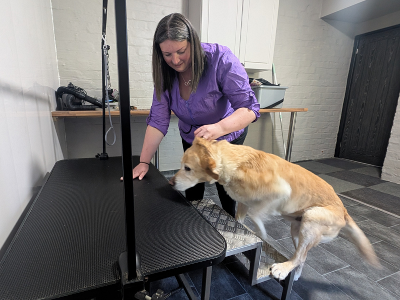 Emily - Nab Woof Dog Grooming